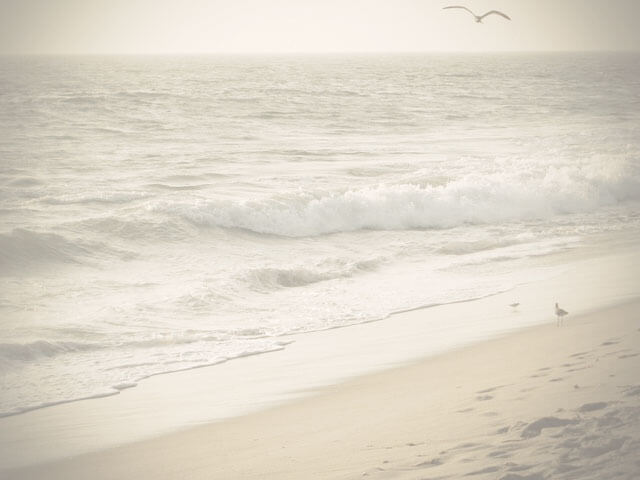 a malibu beach