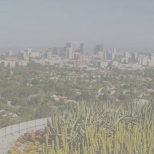 los angeles movers white glove