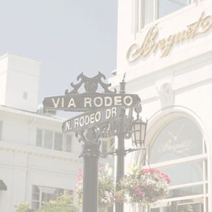 beverly hills movers moving guide