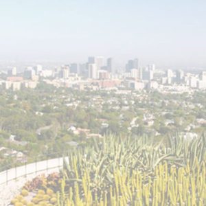 los angeles movers